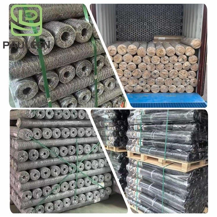 Hexagonal Iron Wire Mesh price