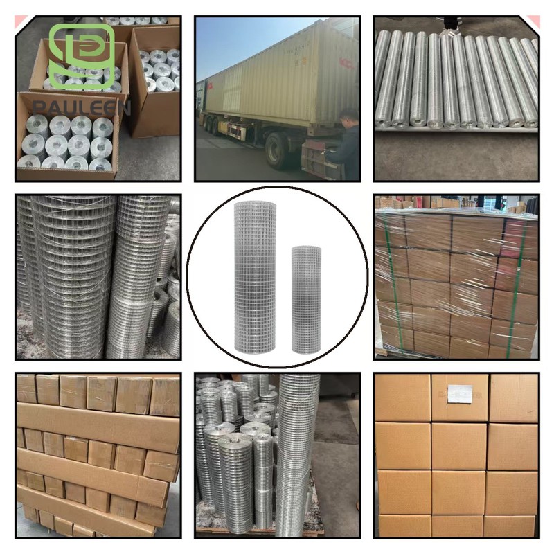 PVC coated welded wire mesh PVC coated welded wire mesh