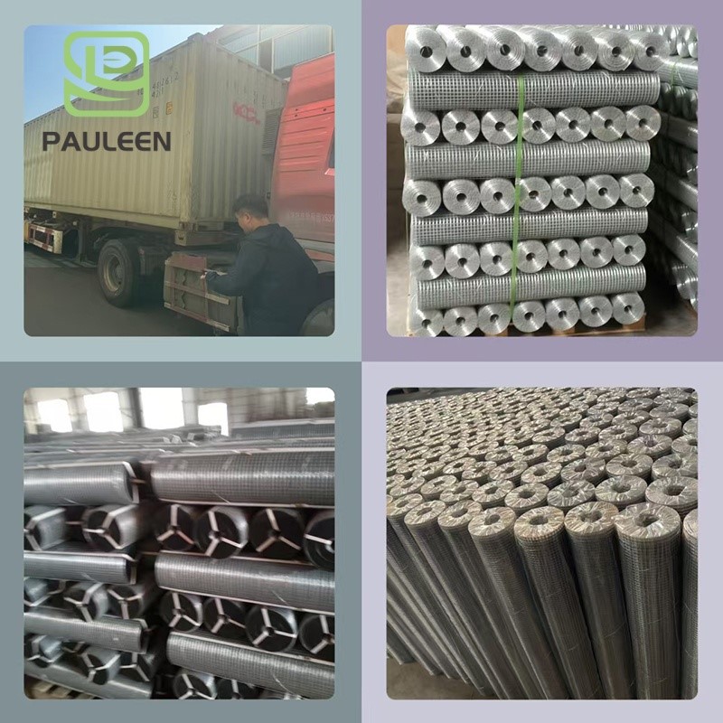 PVC stainless steel welded wire mesh PVC stainless steel welded wire mesh