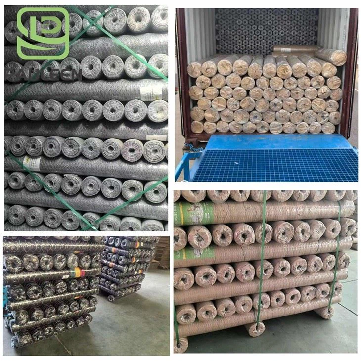 PVC Coated Hexagonal Wire Mesh price PVC Coated Hexagonal Wire Mesh price
