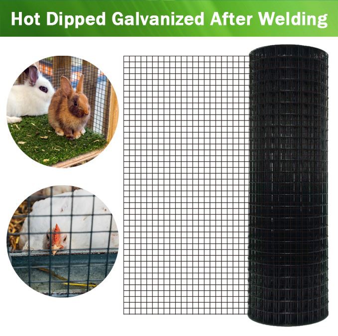 Square Hole PVC Coated Welded Wire Mesh